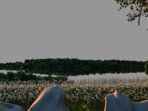 Wetlands 3D Model