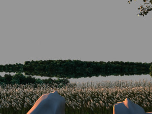 Wetlands 3D Модель