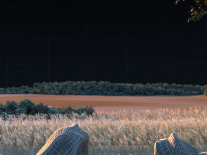 Wetlands 3D Модель