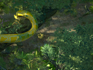 Rainforest 3D Model