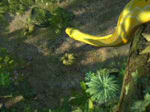 Rainforest 3D Model
