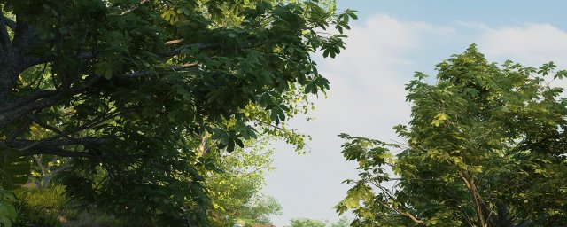 Rainforest Modello 3D .c4d .max .obj .3ds .fbx .stl .blend 
