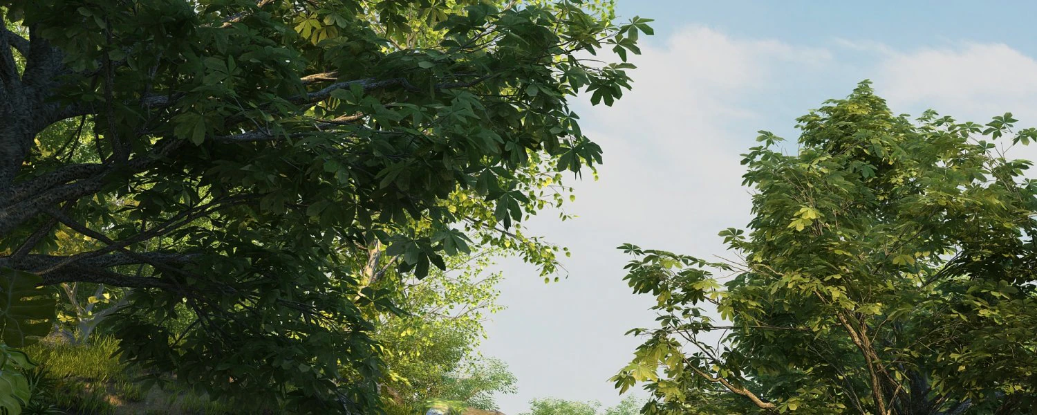 Rainforest 3D Model .c4d .max .obj .3ds .fbx .stl .blend