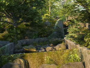 Rainforest Modello 3D