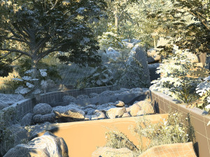 Rainforest Modello 3D