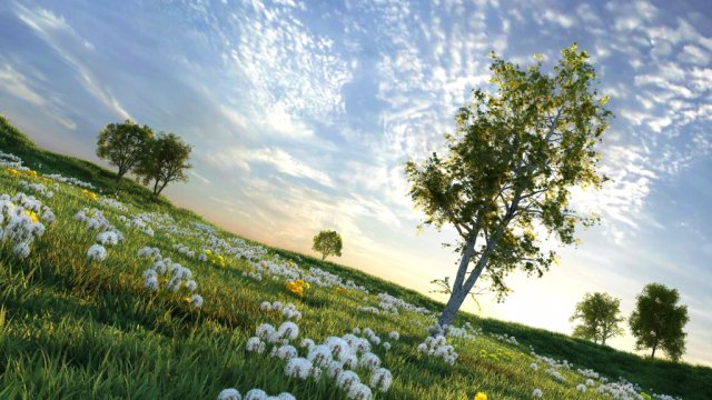 Dandelion 3Dモデル .c4d .max .obj .3ds .fbx .stl .blend