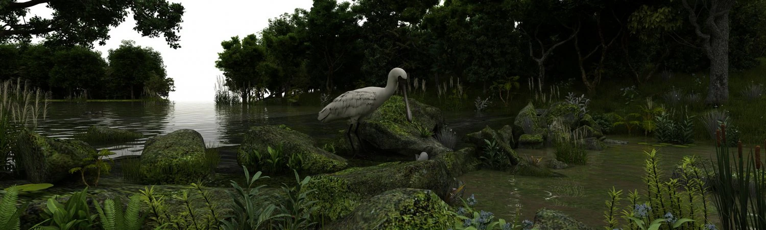 Wetlands 3D Model .c4d .max .obj .3ds .fbx .stl .blend