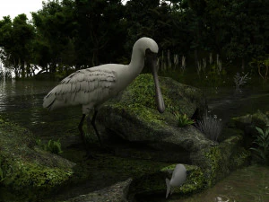 Wetlands 3D Model