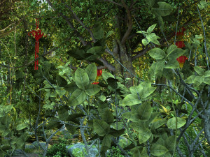 Rainforest Modelo 3D