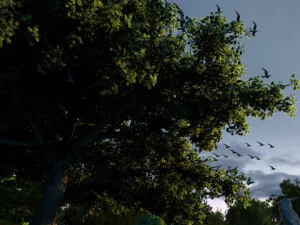 Wetlands 3D Model