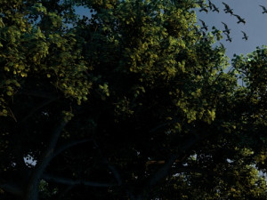 Wetlands 3D Модель