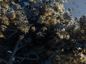 Wetlands 3D Model