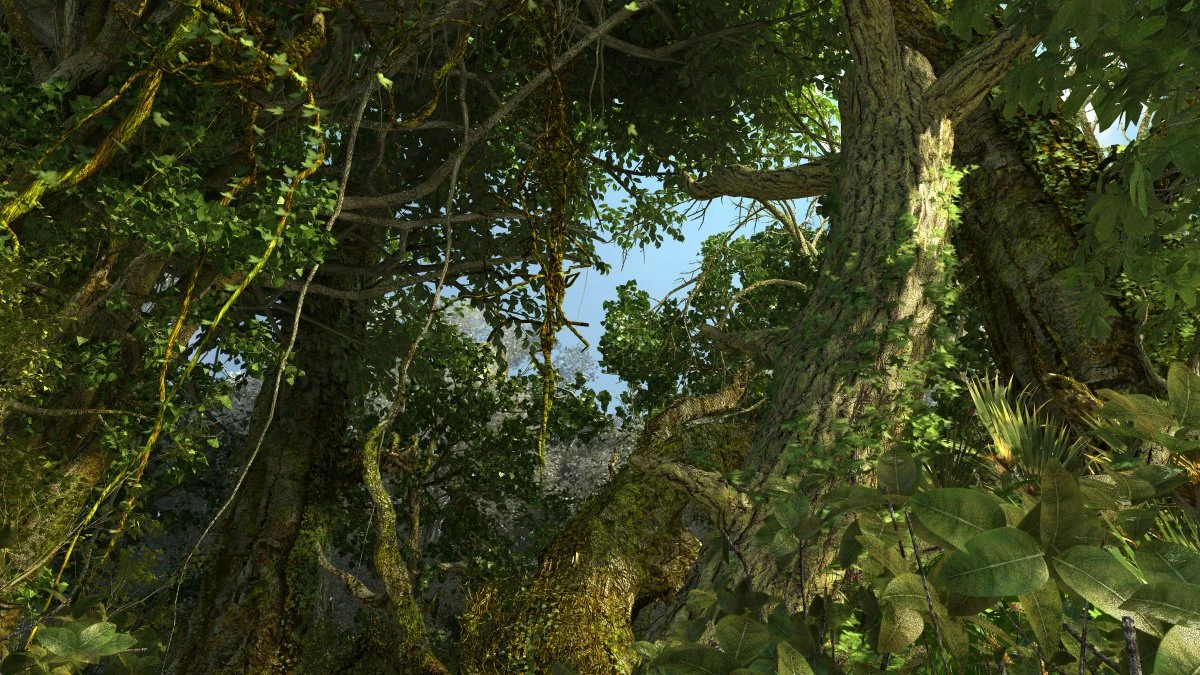 Floresta tropical Modelo 3D .c4d .max .obj .3ds .fbx .stl .blend 