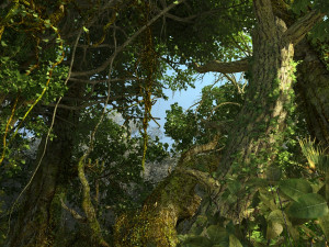Rainforest 3D Model