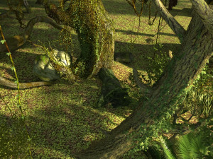 Rainforest 3D Model
