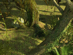 Floresta tropical Modelo 3D