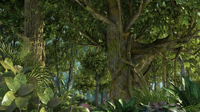 Rainforest 3D Модель .c4d .max .obj .3ds .fbx .stl .blend 