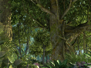 Foresta pluviale Modello 3D