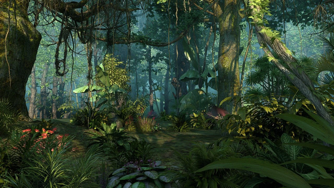 Rainforest 3D Model .c4d .max .obj .3ds .fbx .stl .blend 