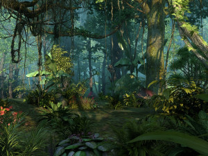 Rainforest Model 3D
