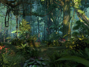 वर्षा वन 3D मॉडल