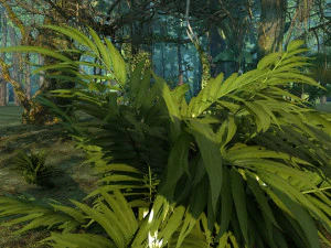 Rainforest 3D Model