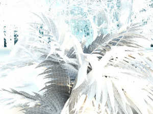 Rainforest Modelo 3D