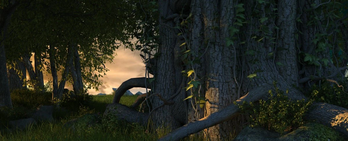 Rainforest 3D Model .c4d .max .obj .3ds .fbx .stl .blend