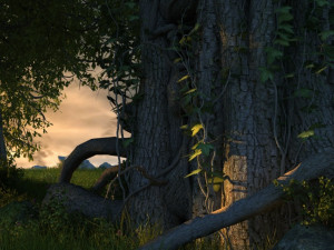 Rainforest Modelo 3D