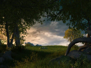 Rainforest 3D Model