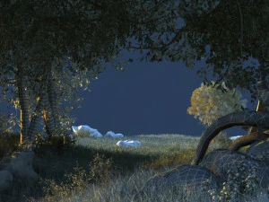 Rainforest 3D Model