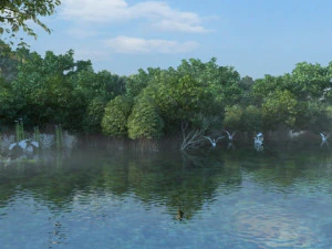 Zonas Húmidas Modelo 3D