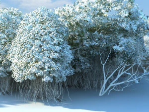 Wetlands 3D Model