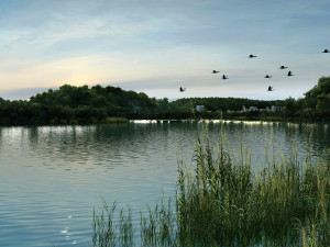 Hangzhou Castle Lake 3D Model