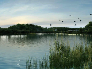 Hangzhou Castle Lake 3D Model