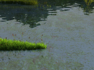 Wetlands 3D 模型