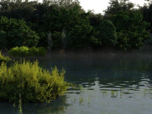 Wetlands 3D Model