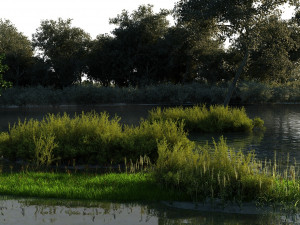 Wetlands 3D 模型