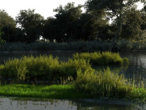 Wetlands 3D Model