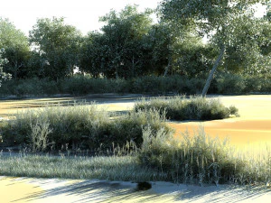 Wetlands 3D Model