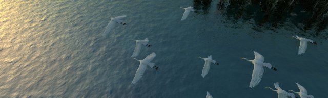 Egrets 3D Модель .c4d .max .obj .3ds .fbx .stl .blend 