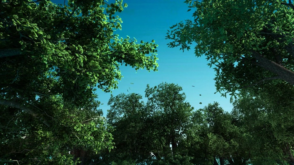 Forest 3D Model .c4d .max .obj .3ds .fbx .stl .blend 