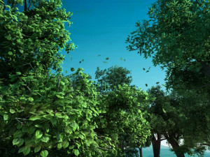 Forest 3D Model