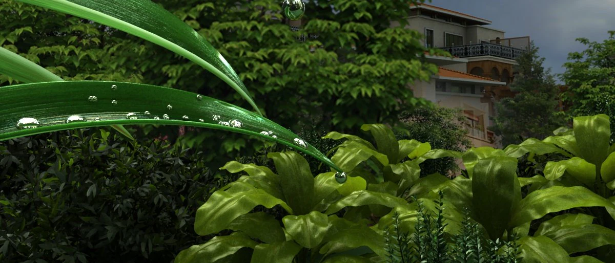 The dew on the leaves 3D Model .c4d .max .obj .3ds .fbx .stl .blend 