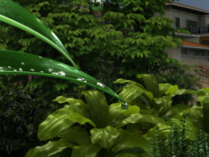 The dew on the leaves 3Dモデル