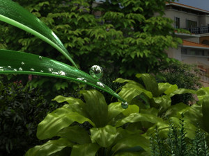 The dew on the leaves Modèle 3D