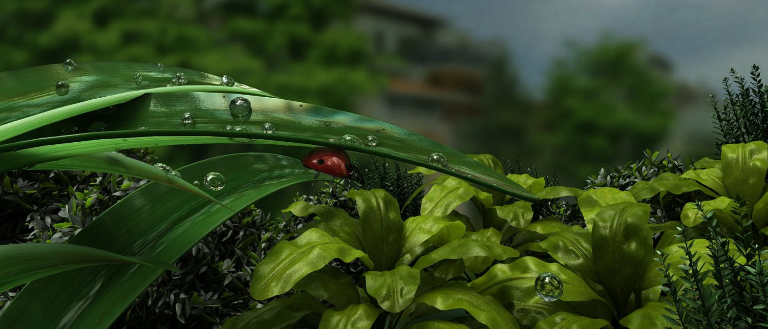 Ladybug 3D Model .c4d .max .obj .3ds .fbx .stl .blend 