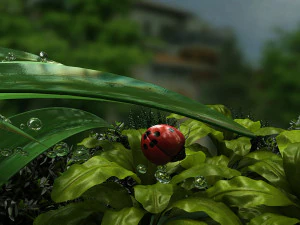 Ladybug 3D Model