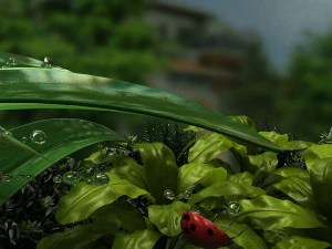 Ladybug 3D Model