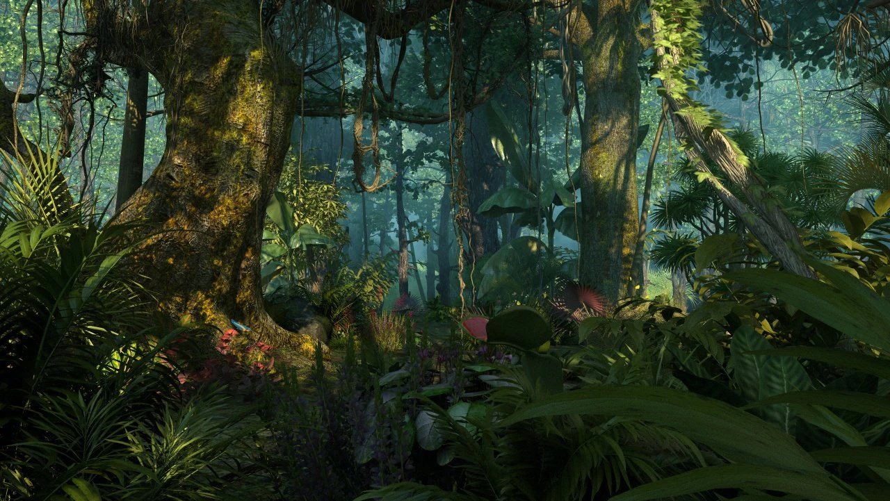 Rainforest 3D Model .c4d .max .obj .3ds .fbx .stl .blend